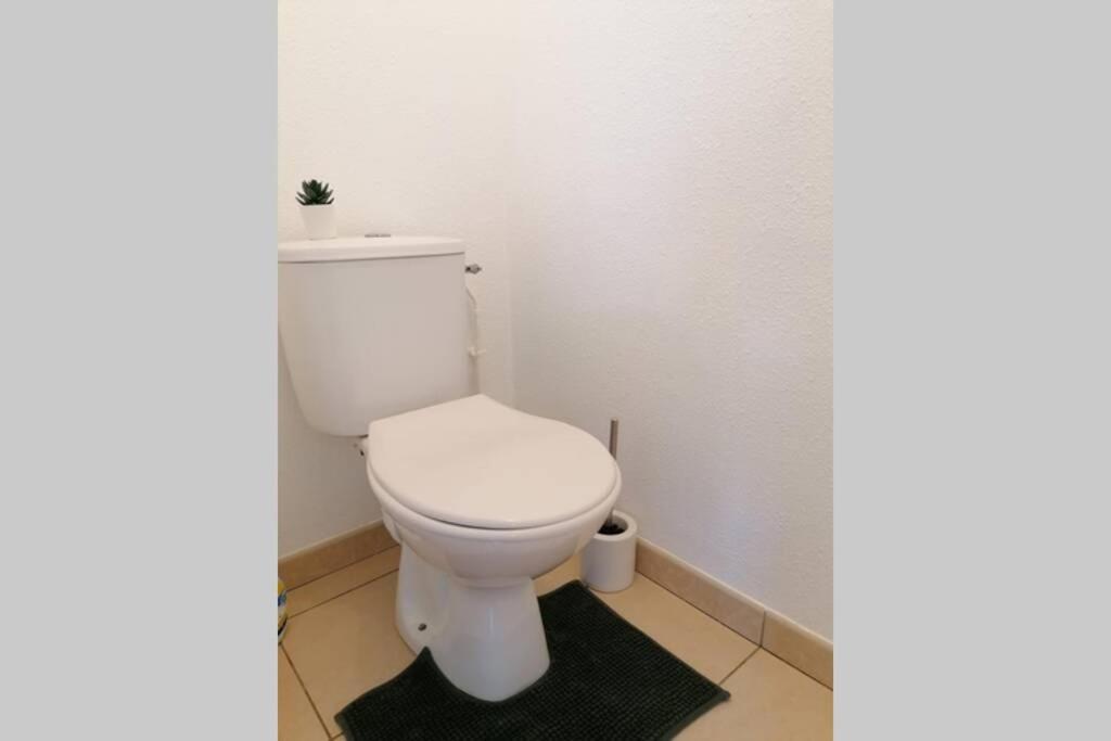 T2 Entier - Hyper Centre - Cosy Home Grenade-sur-Garonne Ngoại thất bức ảnh