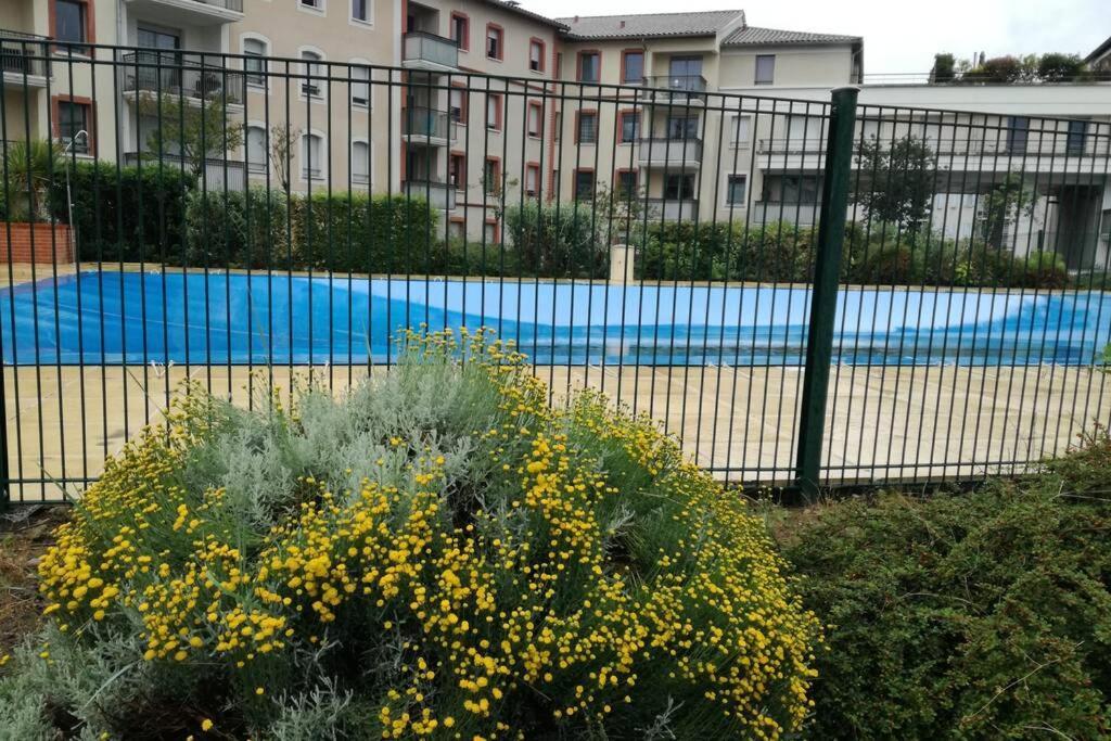 T2 Entier - Hyper Centre - Cosy Home Grenade-sur-Garonne Ngoại thất bức ảnh